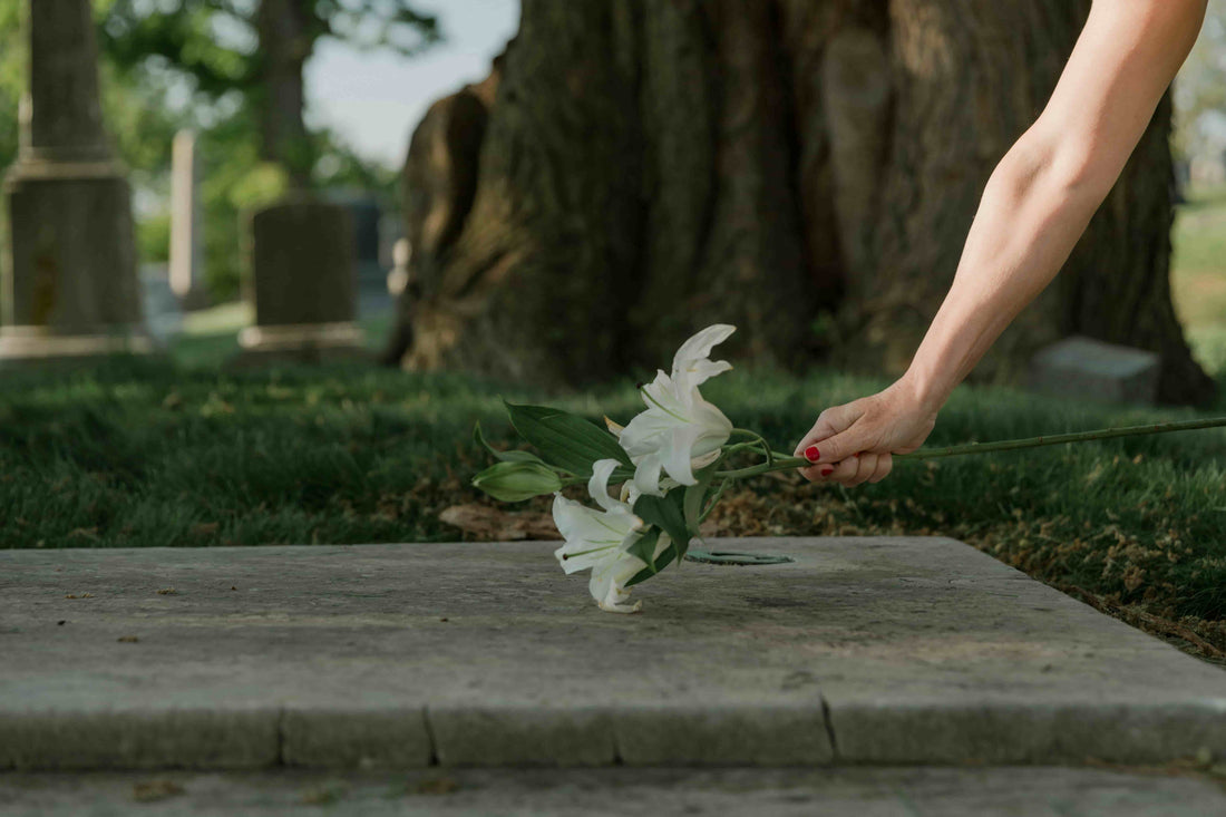 Pet Ashes Memorial Guide Australia - Soft Hours